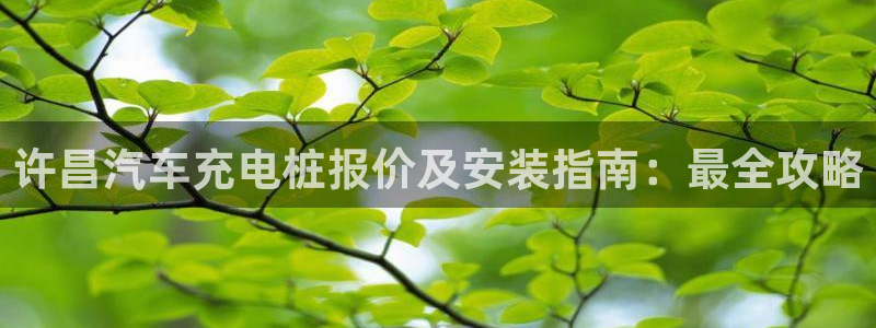 威廉希尔中文官网：许昌汽车充电桩报价及安装指南：最全攻略